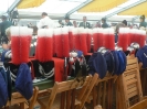Bundesfest 2009_42
