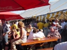 OLS 2011_13